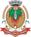 Brasão do Câmara Municipal de Flores da Cunha